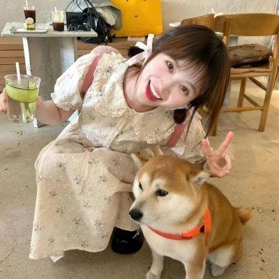 廉政风云 烟幕